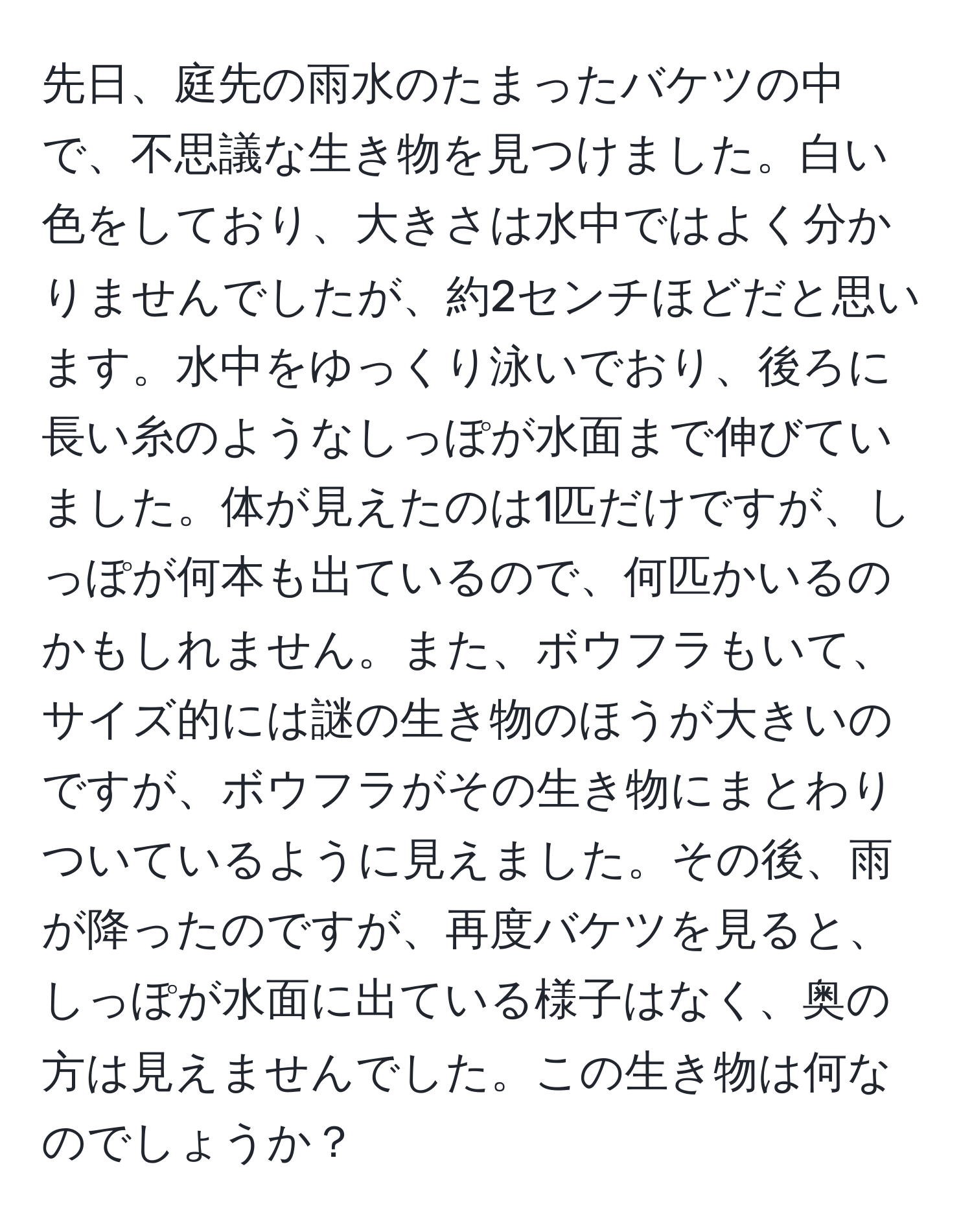 先日、庭先の雨水のたまったバケツの中で、不思議な生き物を見つけました。白い色をしており、大きさは水中ではよく分かりませんでしたが、約2センチほどだと思います。水中をゆっくり泳いでおり、後ろに長い糸のようなしっぽが水面まで伸びていました。体が見えたのは1匹だけですが、しっぽが何本も出ているので、何匹かいるのかもしれません。また、ボウフラもいて、サイズ的には謎の生き物のほうが大きいのですが、ボウフラがその生き物にまとわりついているように見えました。その後、雨が降ったのですが、再度バケツを見ると、しっぽが水面に出ている様子はなく、奥の方は見えませんでした。この生き物は何なのでしょうか？