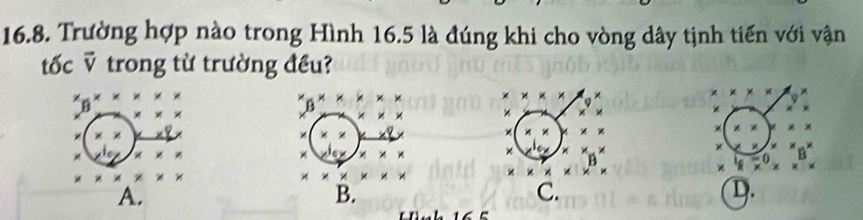 Trường hợp nào trong Hình 16.5 là đúng khi cho vòng dây tịnh tiến với vận
tốc v trong từ trường đều?
ww * * *
× *
* * * *
B
B
× x x ×
w
x x ×
× * * *
× x= x
× B
to × × * != × a
z
* * !=
x* x
A.
B.
C.
D.