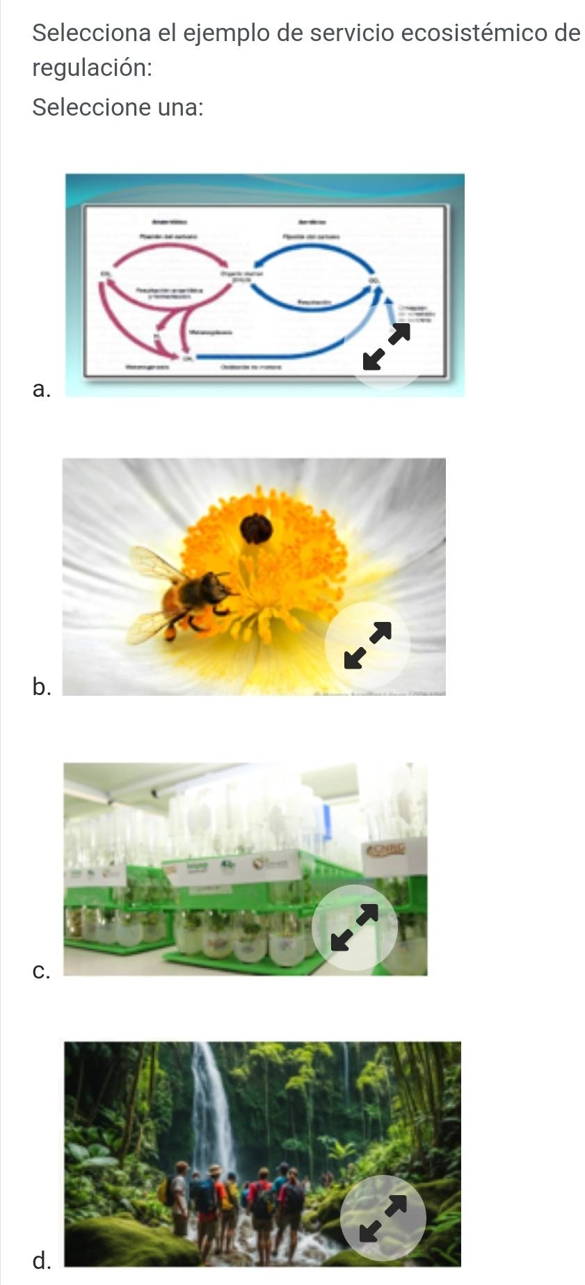 Selecciona el ejemplo de servicio ecosistémico de
regulación:
Seleccione una:
a.
b.
C.
d.