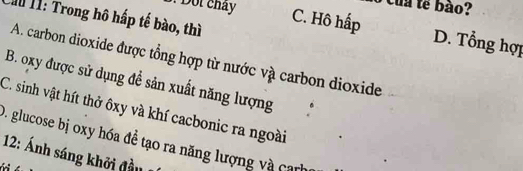 Cầu 11: Trong hô hấp tế bào, thì
: Dột chây C. Hô hấp D. Tổng hợp
A. carbon dioxide được tổng hợp từ nước và carbon dioxide
B. oxy được sử dụng đề sản xuất năng lượng .
C. sinh vật hít thở ôxy và khí cacbonic ra ngoài
D. glucose bị oxy hóa đề tạo ra năng lượng và can
12: Ánh sáng khởi đầu