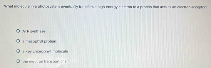 What molecule in a photosystem eventually transfers a high-energy electron to a protein that acts as an electron acceptor?
ATP synthase
a mesophyll protein
a key chlorophyll molecule
the electron transport chain