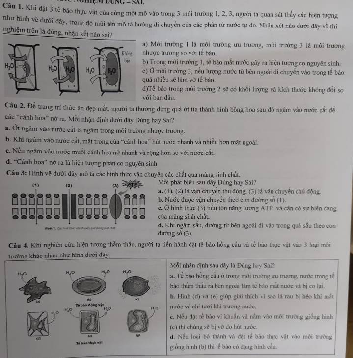 Khi đặt 3 tế bảo thực vật của cùng một mô vào trong 3 môi trường 1, 2, 3, người ta quan sát thấy các hiện tượng
như hình vẽ dưới đây, trong đó mũi tên mô tả hướng di chuyền của các phân tử nước tự do. Nhận xét nào dưới đây về thí
nghiệm trên là đúng, nhận xết nào sai?
Môi trường 1 là môi trường ưu trương, môi trường 3 là môi trương
ợc trương so với tế bào.
Trong môi trường 1, tế bảo mất nước gây ra hiện tượng co nguyên sinh.
Ở môi trường 3, nếu lượng nước từ bên ngoài di chuyển vào trong tế bào
nhiều sẽ làm vỡ tế bào.
ể bảo trong môi trường 2 sẽ có khổi lượng và kích thước không đổi so
ban đầu.
Câu 2. Đề trang trí thức ăn đẹp mắt, người ta thường dùng quả ớt tỉa thành hình bông hoa sau đó ngâm vào nước cắt để
các “cánh hoa” nở ra. Mỗi nhận định dưới đây Đúng hay Sai?
a. Ớt ngâm vào nước cất là ngâm trong môi trường nhược trương.
b. Khi ngâm vào nước cắt, mặt trong của “cảnh hoa” hút nước nhanh và nhiều hơn mặt ngoài.
c. Nếu ngâm vào nước muối cánh hoa nở nhanh và rộng hơn so với nước cất.
d. “Cánh hoa” nở ra là hiện tượng phản co nguyên sinh
Câu 3: Hình vẽ dưới đây mô tả các hình thức vận chuyển các chất qua màng sinh chất.
ỗi phát biểu sau đây Đúng hay Sai?. (1), (2) là vận chuyển thụ động, (3) là vận chuyển chủ động.
. Nước được vận chuyển theo con đường số (1).
. Ở hình thức (3) tiêu tổn năng lượng ATP và cần có sự biển dạng
ủa màng sinh chất.
đ. Khi ngâm sấu, đường từ bên ngoài đi vào trong quả sầu theo con
đường số (3).
Câu 4. Khi nghiên cứu hiện tượng thẳm thầu, người ta tiến hành đặt tế bảo hồng cầu và tế bào thực vật vào 3 loại môi
trường khác nhau như hình dưới đây.
Mỗi nhận định sau đây là Đủng hay Sai?
H₂O H_2O H₂O H_2O a. Tể bào hồng cầu ở trong môi trường ưu trương, nước trong tể
bào thầm thấu ra bên ngoài làm tể bào mắt nước và bị co lại.
b. Hình (d) và (e) giúp giải thích vi sao lã rau bị héo khi mần
ω
H,O
H,0 Tế bào động vật
HgO HjD nước và chỉ tưới khi trương nước.
e. Nếu đặt tế bào vi khuẩn và nằm vào môi trường giống hình
(c) thì chúng sẽ bị vỡ do hút nước.
(d) đ. Nếu loại bỏ thành và đặt tế bào thực vật vào môi trường
Tể lào thực vật giống hình (b) thi tế bào có dạng hình cầu.