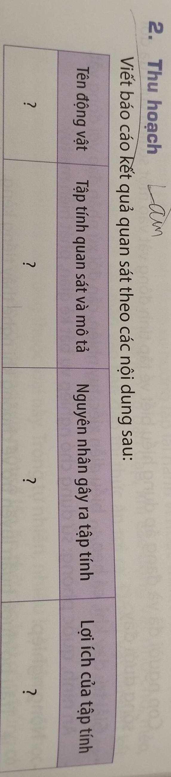 Thu hoạch 
Viết báo cáo kết quả quan sát theo các nội dung sau: