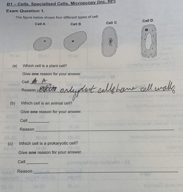 B1 - Cells, Specialised Cells, Microscopy (inc. RP) 
Exam Question 1. 
The figure below shows four different types of cell. 
Cell A Cell B Cell C Cell D 
(a) Which cell is a plant cell? 
Give one reason for your answer. 
Cell 
_ 
Reason_ 
_ 
(b) Which cell is an animal cell? 
Give one reason for your answer. 
Cell_ 
Reason_ 
(c) Which cell is a prokaryotic cell? 
Give one reason for your answer. 
Cell_