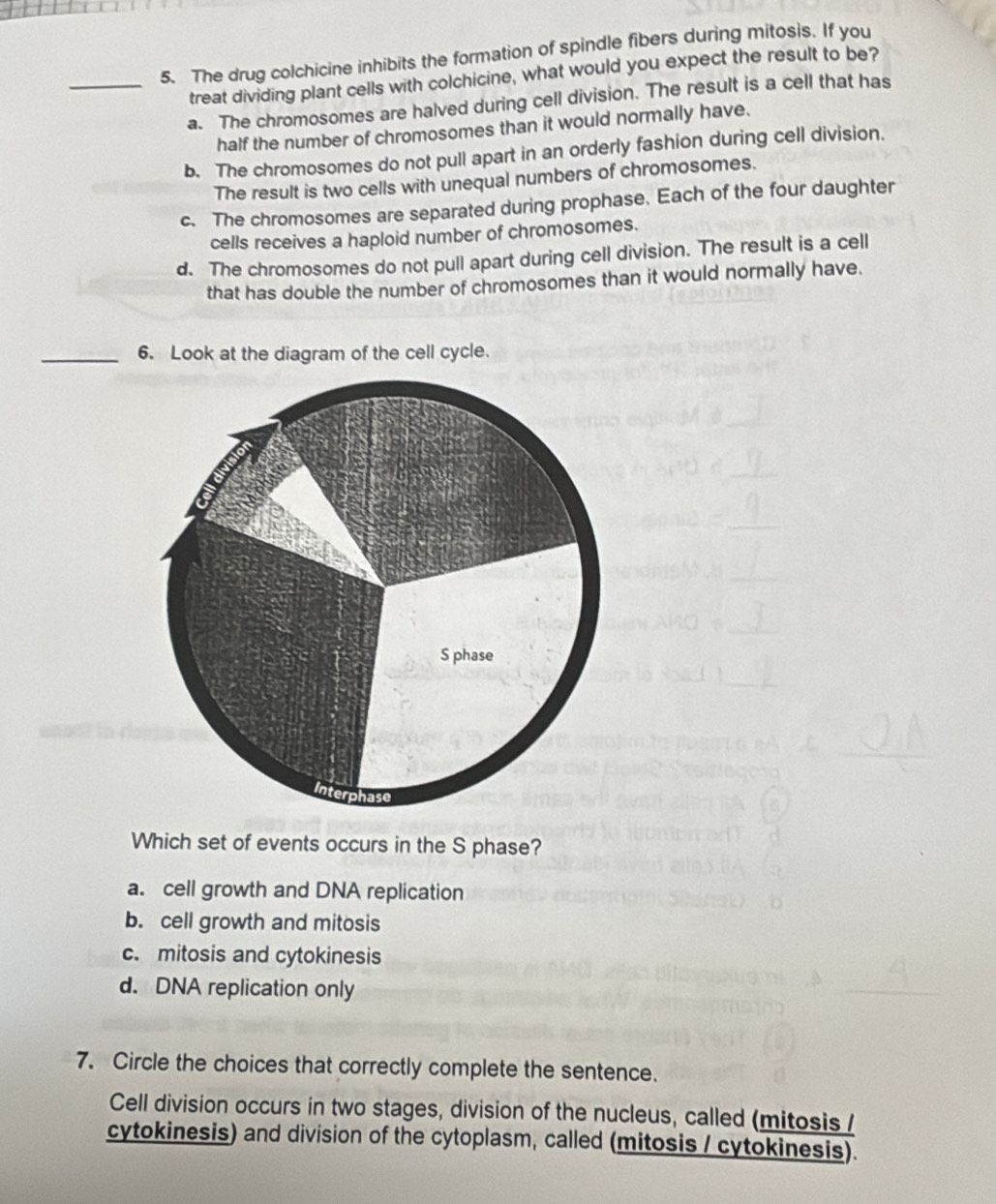 The drug colchicine inhibits the formation of spindle fibers during mitosis. If you
treat dividing plant cells with colchicine, what would you expect the result to be?
_a. The chromosomes are halved during cell division. The result is a cell that has
half the number of chromosomes than it would normally have.
b. The chromosomes do not pull apart in an orderly fashion during cell division.
The result is two cells with unequal numbers of chromosomes.
c. The chromosomes are separated during prophase. Each of the four daughter
cells receives a haploid number of chromosomes.
d. The chromosomes do not pull apart during cell division. The result is a cell
that has double the number of chromosomes than it would normally have.
_
_
6. Look at the diagram of the cell cycle.
Which set of events occurs in the S phase?
a. cell growth and DNA replication
b. cell growth and mitosis
c. mitosis and cytokinesis
d. DNA replication only
7. Circle the choices that correctly complete the sentence.
Cell division occurs in two stages, division of the nucleus, called (mitosis /
cytokinesis) and division of the cytoplasm, called (mitosis / cytokinesis).