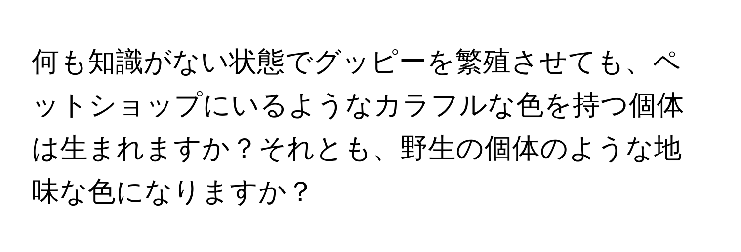 何も知識がない状態でグッピーを繁殖させても、ペットショップにいるようなカラフルな色を持つ個体は生まれますか？それとも、野生の個体のような地味な色になりますか？