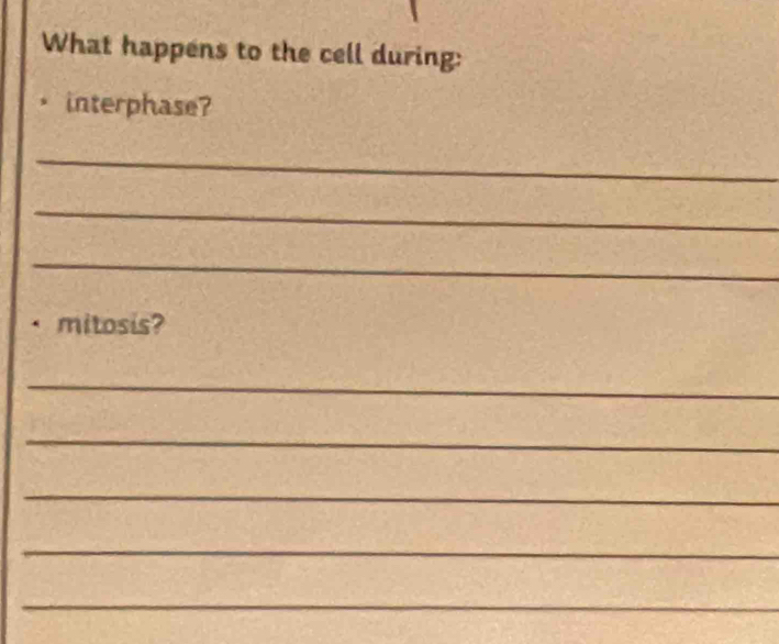 What happens to the cell during: 
interphase? 
_ 
_ 
_ 
mitosis? 
_ 
_ 
_ 
_ 
_