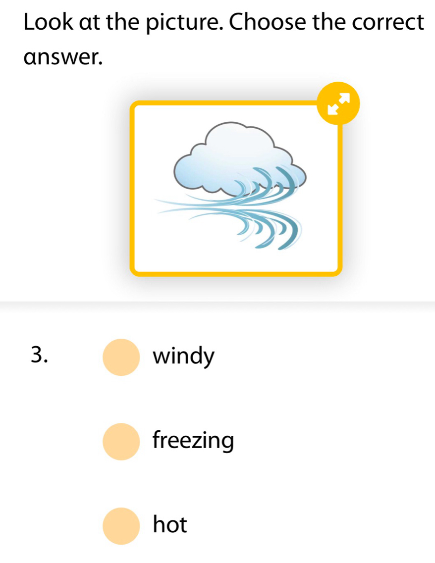 Look at the picture. Choose the correct
answer.
3. windy
freezing
hot