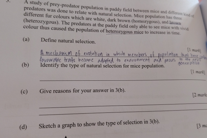 A study of prey-predator population in paddy field between mice and different kind of 
predators was done to relate with natural selection. Mice population has three 
different fur colours which are white, dark brown (homozygous), and brown 
(heterozygous). The predators at the paddy field only able to see mice with vivid 
colour thus caused the population of heterozygous mice to increase in time. 
(a) Define natural selection. 
_ 
[1 mark] 
_ 
(b) Identify the type of natural selection for mice population. [1 mark] 
_ 
(c) Give reasons for your answer in 3(b). 
[2 marks 
_ 
_ 
(d) Sketch a graph to show the type of selection in 3(b). [3 m