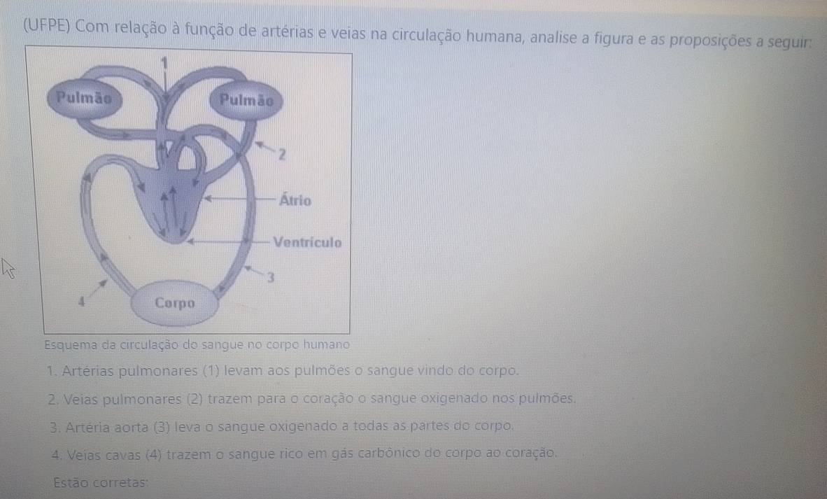 (UFPE) Com relação à função de artérias e veias na circulação humana, analise a figura e as proposições a seguir: 
Esquema da circulação do sangue no corpo humano 
1. Artérias pulmonares (1) levam aos pulmões o sangue vindo do corpo. 
2. Veias pulmonares (2) trazem para o coração o sangue oxigenado nos pulmões. 
3. Artéria aorta (3) leva o sangue oxigenado a todas as partes do corpo. 
4. Vejas cavas (4) trazem o sangue rico em gás carbônico do corpo ao coração. 
Estão corretas: