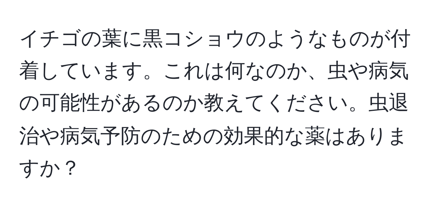 イチゴの葉に黒コショウのようなものが付着しています。これは何なのか、虫や病気の可能性があるのか教えてください。虫退治や病気予防のための効果的な薬はありますか？