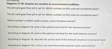 Diagrams 27-28. Enzymes one sensitive to environmental conditions.
The pll scale goes from pHl 0- pHl 14. Which numbers on this scale are considered acidic?
The pill scale goes from pH 0- pH 14. Which numbers on this scale are considered basic?
Which number is neither acidic or basic, and is therefore neutral?
Acsonsling to diagram 28, what is the optimum pH level for the stomach enzyme?
Acoonting to diagram 28, what is the optimum pid level for the small intestine enzyme?
Aczonding to diagram 28, describse the activity level of the stomach enzyme at a neutral pH level.
Acconding to diagram 28, is there a pid level where both enzymes show some activity?