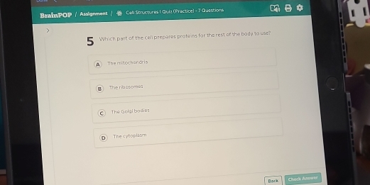 BrainPOP Assignment Cell Structures ! Quiz (Practice) - 7 Questions
5 Which part of the celi prepares proteins for the rest of the body to use?
The mitochendris
R The riacsomes
C The Golgi bodies
D The cytoplasm
Back
Chark Anwwer