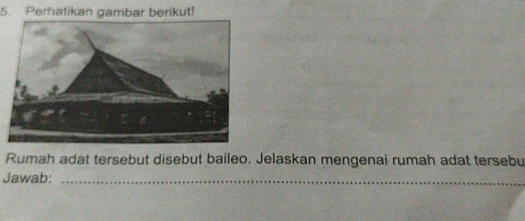 Perhatikan gambar berikut! 
Rumah adat tersebut disebut baileo. Jelaskan mengenai rumah adat tersebu 
Jawab:_