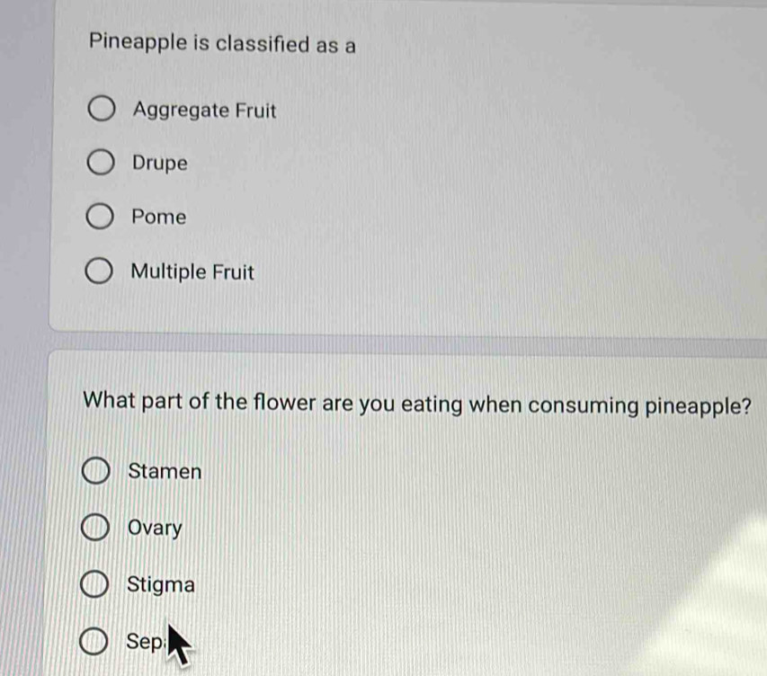 Pineapple is classified as a
Aggregate Fruit
Drupe
Pome
Multiple Fruit
What part of the flower are you eating when consuming pineapple?
Stamen
Ovary
Stigma
Sep