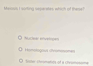 Meiosis I sorting separates which of these?
Nuclear envelopes
Homologous chromosomes
Sister chromatids of a chromosome