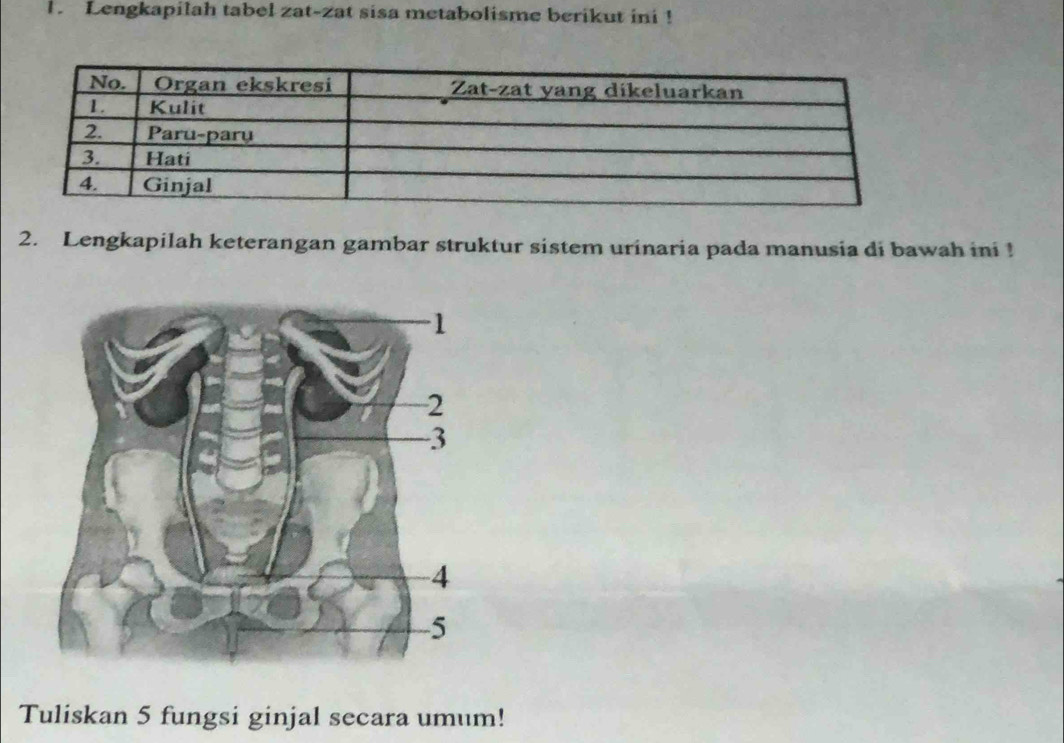 Lengkapilah tabel zat-zat sisa metabolisme berikut ini ! 
2. Lengkapilah keterangan gambar struktur sistem urinaria pada manusia di bawah ini ! 
Tuliskan 5 fungsi ginjal secara umum!