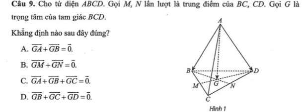 Cho tứ diện ABCD. Gọi M, N lần lượt là trung điểm của BC, CD. Gọi G là
trọng tâm của tam giác BCD.
Khẳng định nào sau đây đúng?
A. vector GA+vector GB=vector 0.
B. vector GM+vector GN=vector 0.
C. vector GA+vector GB+vector GC=vector 0.
D. overline GB+overline GC+overline GD=overline 0. 
Hình 1