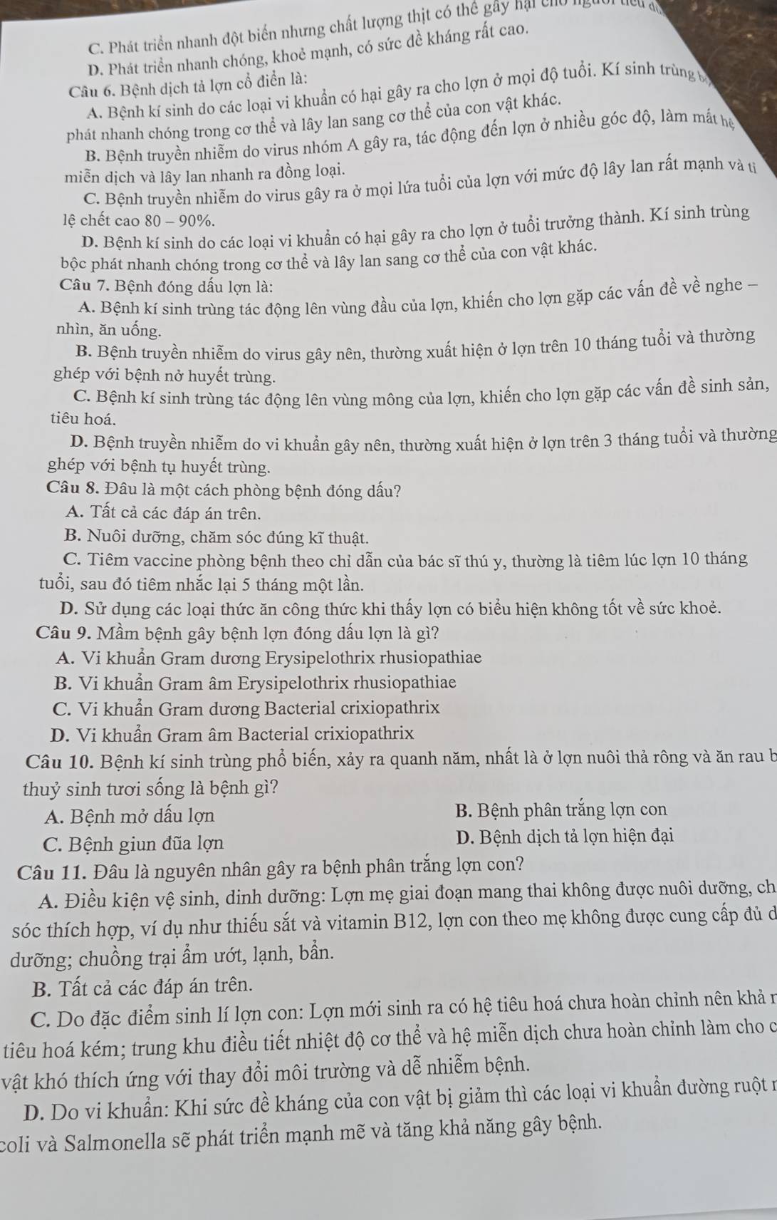 C. Phát triển nhanh đột biến nhưng chất lượng thịt có thể gây hại cho lgụi
D. Phát triển nhanh chóng, khoẻ mạnh, có sức đề kháng rất cao.
Câu 6. Bệnh dịch tả lợn cổ điển là:
A. Bệnh kí sinh do các loại vi khuẩn có hại gây ra cho lợn ở mọi độ tuổi. Kí sinh trùng b
phát nhanh chóng trong cơ thể và lây lan sang cơ thể của con vật khác.
B. Bệnh truyền nhiễm do virus nhóm A gây ra, tác động đến lợn ở nhiều góc độ, làm mắt họ
miễn dịch và lây lan nhanh ra đồng loại.
C. Bệnh truyền nhiễm do virus gây ra ở mọi lứa tuổi của lợn với mức độ lây lan rất mạnh và tị
lệ chết cao 80-90% .
D. Bệnh kí sinh do các loại vi khuẩn có hại gây ra cho lợn ở tuổi trưởng thành. Kí sinh trùng
bộc phát nhanh chóng trong cơ thể và lây lan sang cơ thể của con vật khác.
Câu 7. Bệnh đóng dấu lợn là:
A. Bệnh kí sinh trùng tác động lên vùng đầu của lợn, khiến cho lợn gặp các vấn đề về nghe -
nhìn, ăn uống.
B. Bệnh truyền nhiễm do virus gây nên, thường xuất hiện ở lợn trên 10 tháng tuổi và thường
ghép với bệnh nở huyết trùng.
C. Bệnh kí sinh trùng tác động lên vùng mông của lợn, khiến cho lợn gặp các vấn đề sinh sản,
tiêu hoá.
D. Bệnh truyền nhiễm do vi khuẩn gây nên, thường xuất hiện ở lợn trên 3 tháng tuổi và thường
ghép với bệnh tụ huyết trùng.
Câu 8. Đâu là một cách phòng bệnh đóng dấu?
A. Tất cả các đáp án trên.
B. Nuôi dưỡng, chăm sóc đúng kĩ thuật.
C. Tiêm vaccine phòng bệnh theo chỉ dẫn của bác sĩ thú y, thường là tiêm lúc lợn 10 tháng
tuổi, sau đó tiêm nhắc lại 5 tháng một lần.
D. Sử dụng các loại thức ăn công thức khi thấy lợn có biểu hiện không tốt về sức khoẻ.
Câu 9. Mầm bệnh gây bệnh lợn đóng dấu lợn là gì?
A. Vi khuẩn Gram dương Erysipelothrix rhusiopathiae
B. Vi khuẩn Gram âm Erysipelothrix rhusiopathiae
C. Vi khuẩn Gram dương Bacterial crixiopathrix
D. Vi khuẩn Gram âm Bacterial crixiopathrix
Câu 10. Bệnh kí sinh trùng phổ biến, xảy ra quanh năm, nhất là ở lợn nuôi thả rông và ăn rau b
thuỷ sinh tươi sống là bệnh gì?
A. Bệnh mở dấu lợn  B. Bệnh phân trắng lợn con
C. Bệnh giun đũa lợn D. Bệnh dịch tả lợn hiện đại
Câu 11. Đâu là nguyên nhân gây ra bệnh phân trắng lợn con?
A. Điều kiện vệ sinh, dinh dưỡng: Lợn mẹ giai đoạn mang thai không được nuôi dưỡng, ch
sóc thích hợp, ví dụ như thiếu sắt và vitamin B12, lợn con theo mẹ không được cung cấp đủ ở
dưỡng; chuồng trại ẩm ướt, lạnh, bần.
B. Tất cả các đáp án trên.
C. Do đặc điểm sinh lí lợn con: Lợn mới sinh ra có hệ tiêu hoá chưa hoàn chỉnh nên khả n
tiêu hoá kém; trung khu điều tiết nhiệt độ cơ thể và hệ miễn dịch chưa hoàn chỉnh làm cho c
vật khó thích ứng với thay đổi môi trường và dễ nhiễm bệnh.
D. Do vi khuẩn: Khi sức đề kháng của con vật bị giảm thì các loại vi khuẩn đường ruột n
coli và Salmonella sẽ phát triển mạnh mẽ và tăng khả năng gây bệnh.