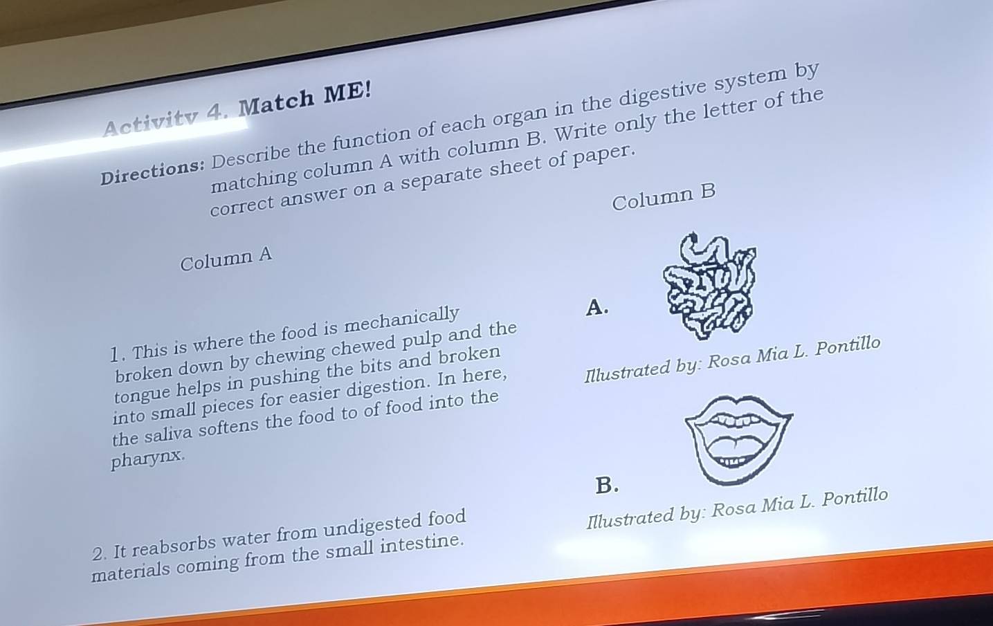 Activity 4. Match ME! 
Directions: Describe the function of each organ in the digestive system by 
matching column A with column B. Write only the letter of the 
correct answer on a separate sheet of paper. 
Column B 
Column A 
1. This is where the food is mechanically 
A. 
broken down by chewing chewed pulp and the 
tongue helps in pushing the bits and broken 
the saliva softens the food to of food into the Illustrated by: Rosa Mia L. Pontillo 
into small pieces for easier digestion. In here, 
pharynx. 
B. 
materials coming from the small intestine. Illustrated by: Rosa Mia L. Pontillo 
2. It reabsorbs water from undigested food