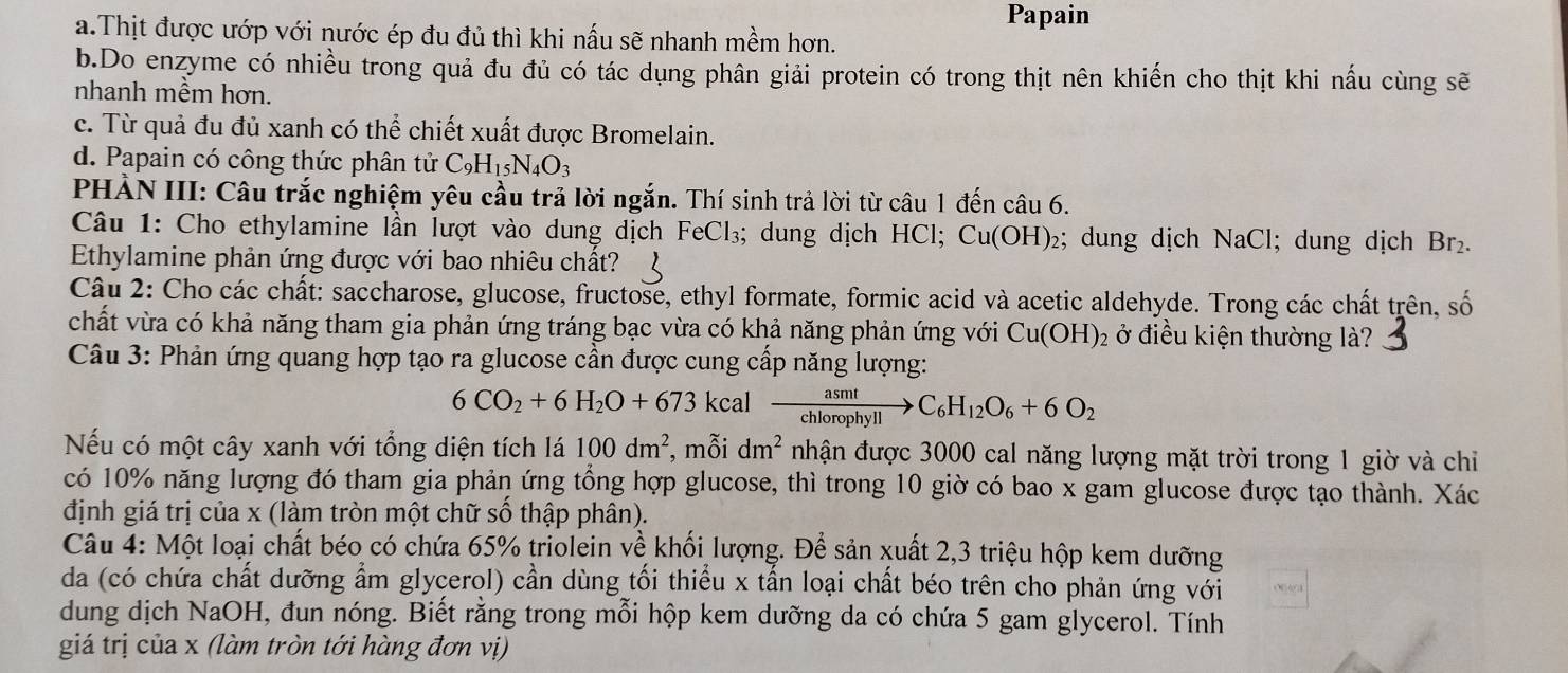 Papain
a.Thịt được ướp với nước ép đu đủ thì khi nấu sẽ nhanh mềm hơn.
b.Do enzyme có nhiều trong quả đu đủ có tác dụng phân giải protein có trong thịt nên khiến cho thịt khi nấu cùng sẽ
nhanh mềm hơn.
c. Từ quả đu đủ xanh có thể chiết xuất được Bromelain.
d. Papain có công thức phân tử C _9H_15N_4O_3
PHẢN III: Câu trắc nghiệm yêu cầu trả lời ngắn. Thí sinh trả lời từ câu 1 đến câu 6.
Câu 1: Cho ethylamine lần lượt vào dung dịch FeCl₃; dung dịch HCl; Cu(OH)₂; dung dịch NaC l; dung dịch Br_2.
Ethylamine phản ứng được với bao nhiêu chất?
Câu 2: Cho các chất: saccharose, glucose, fructose, ethyl formate, formic acid và acetic aldehyde. Trong các chất trên, số
chất vừa có khả năng tham gia phản ứng tráng bạc vừa có khả năng phản ứng với Cu(OH)_2 ở điều kiện thường là?
Câu 3: Phản ứng quang hợp tạo ra glucose cần được cung cấp năng lượng:
6CO_2+6H_2O+673 kcal  asmt/chlorophyll >C_6H_12O_6+6O_2
Nếu có một cây xanh với tổng diện tích lá 100dm^2 , mỗi dm^2 nhận được 3000 cal năng lượng mặt trời trong 1 giờ và chỉ
có 10% năng lượng đó tham gia phản ứng tổng hợp glucose, thì trong 10 giờ có bao x gam glucose được tạo thành. Xác
định giá trị của x (làm tròn một chữ số thập phân).
Câu 4: Một loại chất béo có chứa 65% triolein về khối lượng. Để sản xuất 2,3 triệu hộp kem dưỡng
da (có chứa chất dưỡng ẩm glycerol) cần dùng tối thiểu x tấn loại chất béo trên cho phản ứng với
dung dịch NaOH, đun nóng. Biết rằng trong mỗi hộp kem dưỡng da có chứa 5 gam glycerol. Tính
giá trị của x (làm tròn tới hàng đơn vị)