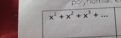 polynomale)
x^1+x^2+x^3+...