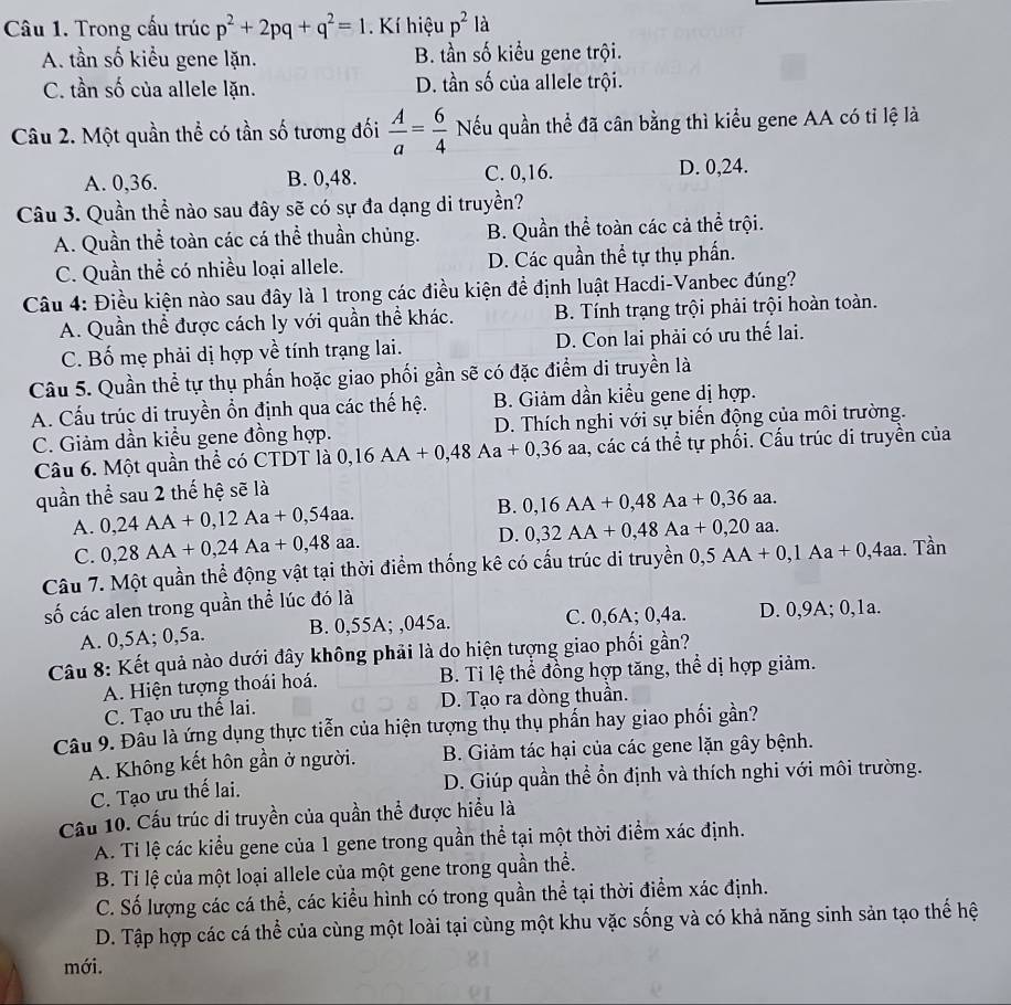 Trong cấu trúc p^2+2pq+q^2=1.  Kí hiệu p^2 là
A. tần số kiểu gene lặn. B. tần số kiểu gene trội.
C. tần số của allele lặn. D. tần số của allele trội.
Câu 2. Một quần thể có tần số tương đối  A/a = 6/4  Nếu quần thể đã cân bằng thì kiểu gene AA có tỉ lệ là
A. 0,36. B. 0,48. C. 0,16. D. 0,24.
Câu 3. Quần thể nào sau đây sẽ có sự đa dạng di truyền?
A. Quần thể toàn các cá thể thuần chủng. B. Quần thể toàn các cả thể trội.
C. Quần thể có nhiều loại allele. D. Các quần thể tự thụ phần.
Câu 4: Điều kiện nào sau đây là 1 trong các điều kiện để định luật Hacdi-Vanbec đúng?
A. Quần thể được cách ly với quần thể khác. B. Tính trạng trội phải trội hoàn toàn.
C. Bố mẹ phải dị hợp về tính trạng lai. D. Con lai phải có ưu thế lai.
Câu 5. Quần thể tự thụ phần hoặc giao phối gần sẽ có đặc điểm di truyền là
A. Cấu trúc di truyền ổn định qua các thế hệ. B. Giảm dần kiều gene dị hợp.
C. Giảm dần kiểu gene đồng hợp. D. Thích nghi với sự biến động của môi trường.
Câu 6. Một quần thể có CTDT là 0,16AA+0,48Aa+0,36aa , các cá thể tự phối. Cấu trúc di truyền của
quần thể sau 2 thế hệ sẽ là
A. 0,24AA+0,12Aa+0,54aa. B. 0,16AA+0,48Aa+0,36aa.
C. 0,28AA+0,24Aa+0,48aa. D. 0,32AA+0,48Aa+0,20aa.
Câu 7. Một quần thể động vật tại thời điểm thống kê có cấu trúc di truyền 0,5AA+0,1Aa+0,4aa. Tần
ố các alen trong quần thể lúc đó là
A. 0,5A; 0,5a. B. 0,55A; ,045a. C. 0,6A; 0,4a. D. 0,9A; 0,1a.
Câu 8: Kết quả nào dưới đây không phải là do hiện tượng giao phối gần?
A. Hiện tượng thoái hoá. B. Ti lệ thể đồng hợp tăng, thể dị hợp giảm.
C. Tạo ưu thế lai. D. Tạo ra dòng thuần.
Câu 9. Đâu là ứng dụng thực tiễn của hiện tượng thụ thụ phần hay giao phối gần?
A. Không kết hôn gần ở người. B. Giảm tác hại của các gene lặn gây bệnh.
C. Tạo ưu thế lai. D. Giúp quần thể ổn định và thích nghi với môi trường.
Cầu 10. Cấu trúc di truyền của quần thể được hiểu là
A. Tỉ lệ các kiểu gene của 1 gene trong quần thể tại một thời điểm xác định.
B. Ti lệ của một loại allele của một gene trong quần thể.
C. Số lượng các cá thể, các kiểu hình có trong quần thể tại thời điểm xác định.
D. Tập hợp các cá thể của cùng một loài tại cùng một khu vặc sống và có khả năng sinh sản tạo thế hệ
mới.