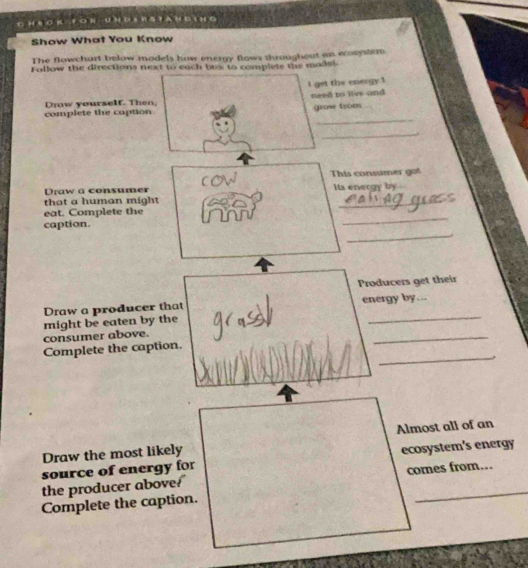 A andihg 
Show What You Know 
The flowchart below models haw energy flows throughout an ecosystem. 
Follow the directions next to each bux to complete the madel 
l get the energy 1 
need to live and 
Draw yourself. Then, 
grow trom 
_ 
complete the caption 
_ 
Draw a consumer cow 
This consumer got 
Its energy by 
that a human might 
_ 
eat. Complete the 
_ 
_ 
caption. 
Producers get their 
Draw a producer that energy by... 
might be eaten by the 
_ 
consumer above. 
_ 
_ 
Complete the caption. 
Almost all of an 
Draw the most likely 
source of energy for ecosystem’s energy 
the producer above!" comes from... 
Complete the caption.