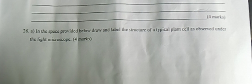 In the space provided below draw and label the structure of a typical plant cell as observed under 
the light microscope. (4 marks)