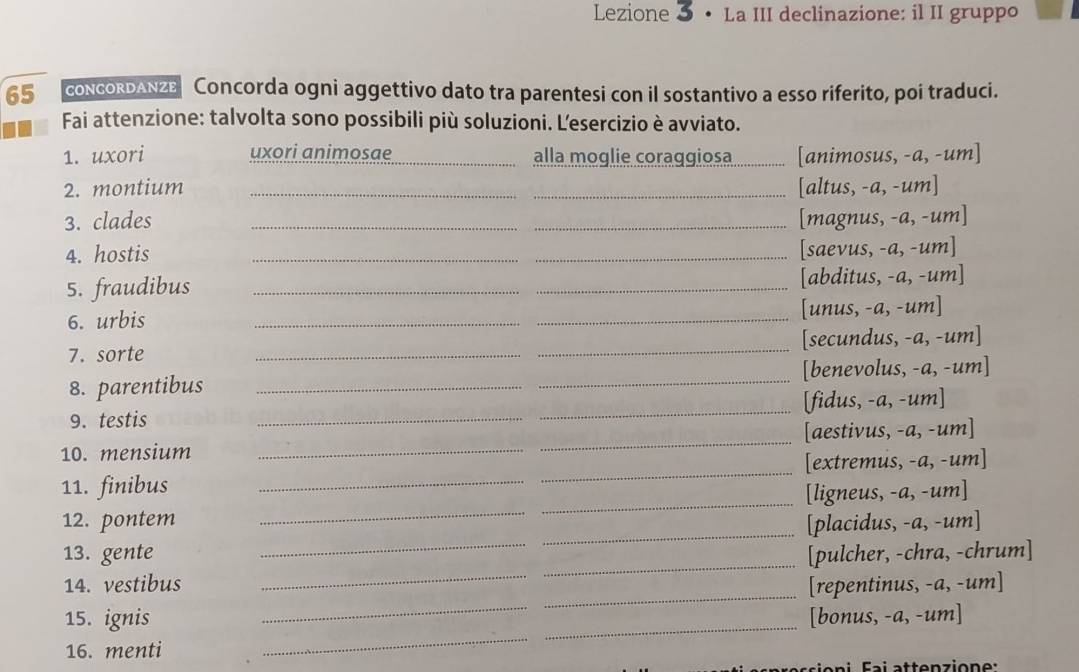 Lezione 3 • La III declinazione: il II gruppo 
65 concordAnze Concorda ogni aggettivo dato tra parentesi con il sostantivo a esso riferito, poi traduci. 
Fai attenzione: talvolta sono possibili più soluzioni. Lesercizio è avviato. 
1. uxori uxori animosae _alla moglie coraggiosa [animosus, -a, -um] 
2. montium __[altus, -a, -um] 
3. clades __[magnus, -a, -um] 
4. hostis 
_ 
_[saevus, -a, -um] 
5. fraudibus __[abditus, -a, -um] 
6. urbis __[unus, -a, -um] 
7. sorte __[secundus, -a, -um] 
8. parentibus __[benevolus, -a, -um] 
9. testis __[fidus, -a, -um] 
10. mensium __[aestivus, -a, -um] 
_ 
_ 
11. finibus __[extremus, -a, -um] 
[ligneus, -a, -um] 
12. pontem [placidus, -a, -um] 
13. gente 
_ 
_ 
14. vestibus __[pulcher, -chra, -chrum] 
_ 
_ 
[repentinus, -a, -um] 
_ 
_ 
15. ignis [bonus, -a, -um] 
16. menti