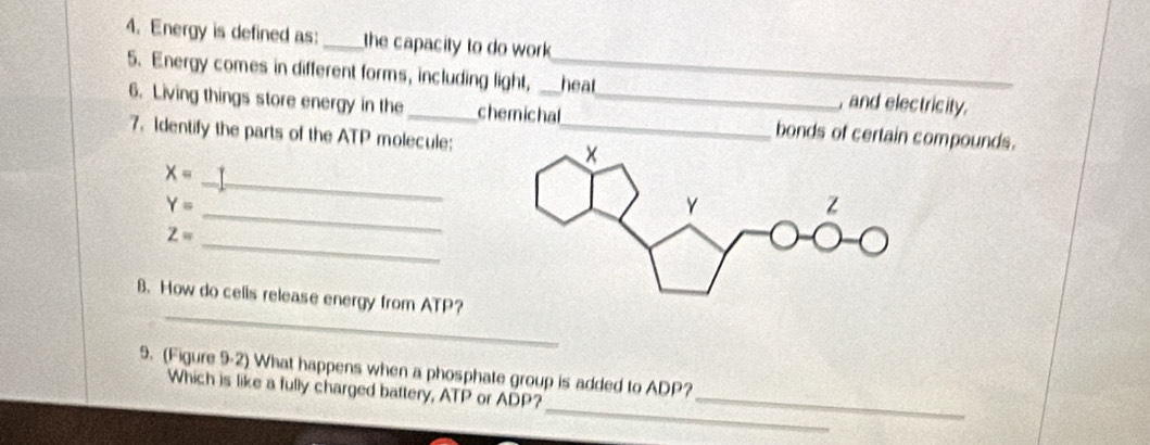 Energy is defined as:_ the capacity to do work 
5. Energy comes in different forms, including light, __heat_ , and electricity. 
6. Living things store energy in the chemichal bonds of certain compounds. 
7. Identify the parts of the ATP molecule: 
_
x=
_
Y=
_ Z=
_ 
B. How do cells release energy from ATP? 
9. (Figure 9-2) What happens when a phosphate group is added to ADP? 
_ 
Which is like a fully charged battery, ATP or ADP?_