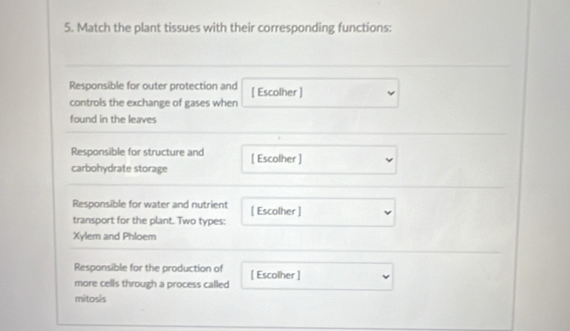 Match the plant tissues with their corresponding functions: 
Responsible for outer protection and [ Escolher ] 
controls the exchange of gases when 
found in the leaves 
Responsible for structure and [ Escolher ] 
carbohydrate storage 
Responsible for water and nutrient [ Escolher ] 
transport for the plant. Two types: 
Xylem and Phloem 
Responsible for the production of [ Escolher ] 
more cells through a process called 
mitosis