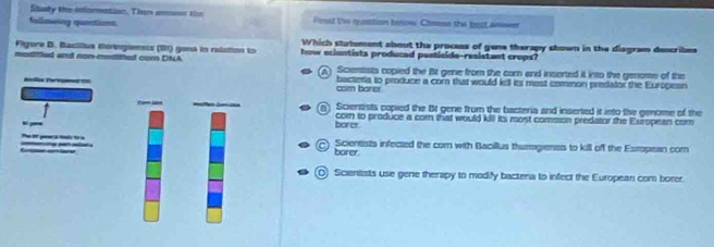 Study the infomation. Then amoss the
following quastions. Fred t've qumtion holow. Cheese the best answr
Figure B. Bacíilus tiringiensis (11) gena in rolation to Which stutement about the process of gone therapy shown in the diagram describes
modittled and non-moditied com DNA how ecientists producad pesticide-resistant crops?
(A) Scienssts copied the Bt gene from the corn and inserted it into the genome of the
=a Pe == cam borer bactera to produce a com that would k'll its most common predator the Europesn
_ n) Scientists copied the B1 gene from the bacteria and inserted it into the genome of the
com to produce a com that would kill its most comeson predator the European com
yo burer
2) Scientists infected the com with Bacillus thurogienss to kill off the Esropean com
borer.
O Scientists use gene therapy to modify bactera to infect the European com borer.