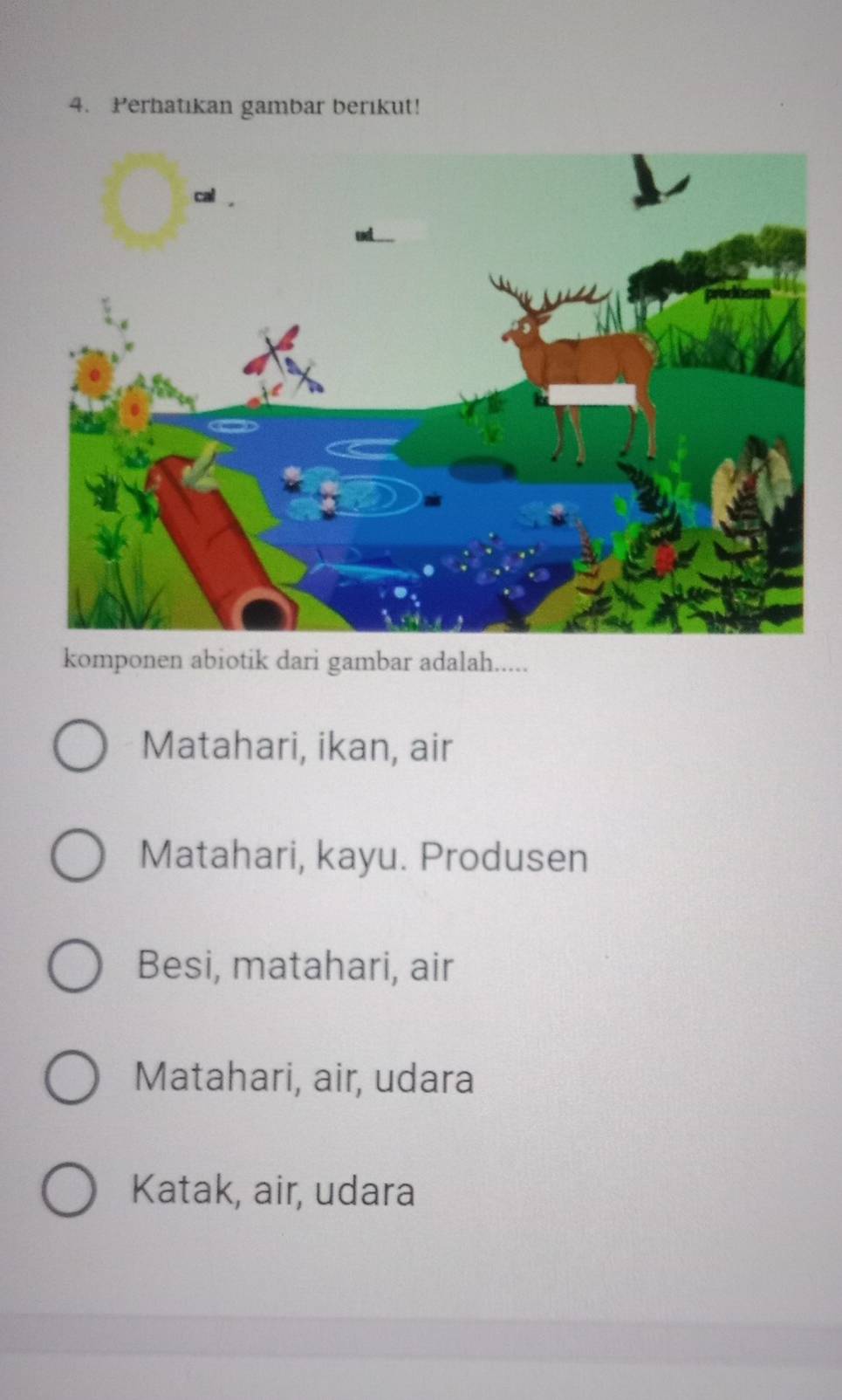 Perhatıkan gambar berıkut!
komponen abiotik dari gambar adalah.....
Matahari, ikan, air
Matahari, kayu. Produsen
Besi, matahari, air
Matahari, air, udara
Katak, air, udara