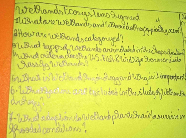 welands tconylems segment 
N 
TInadare Wellands and Where do regty pically acul? 
How ate weshand, calegouged? 
PBhat typese weBlando arvinduded inione Clapsefication 
Wendoideun deestne V.S, Fisg, Broidsige Benaceul 
glassiig Wellonds? 
EuBhut isl clod god fengand ang andimpontant 
6. lineclodeb lnBosludy uehands 
HDndcpin earb plants manelenunwen 
g0corsilions