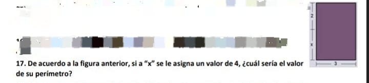 De acuerdo a la figura anterior, si a “ x ” se le asigna un valor de 4, ¿cuál sería el valor 
de su perímetro?