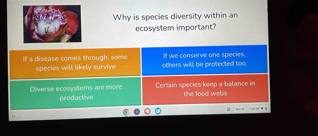 Why is species diversity within an
ecosystem important?
If a disease comes through, some If we conserve one species,
species will likely survive others will be protected too.
Diverse ecosystems are more Certain species keep a balance in
productive the food webs
Nov 26 7:36 US