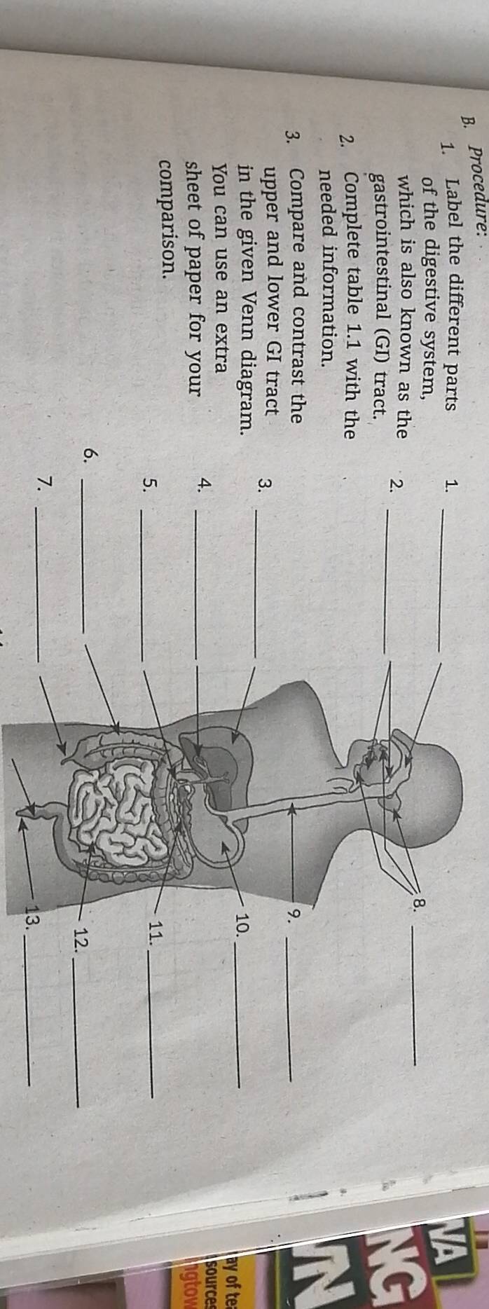 Procedure: 
1. Label the different parts 1._ 
of the digestive system, 
VA 
8._ 
which is also known as the 2._ 
gastrointestinal (GI) tract. 
NG 
2. Complete table 1.1 with the 
needed information. 
a 
3. Compare and contrast the 9._ 
upper and lower GI tract 3._ 
in the given Venn diagram. 10._ 
You can use an extra ay of te 
4. 
sheet of paper for your __source 
gtow 
comparison. 
5._ 
11._ 
6._ 
12._ 
7._ 
13._