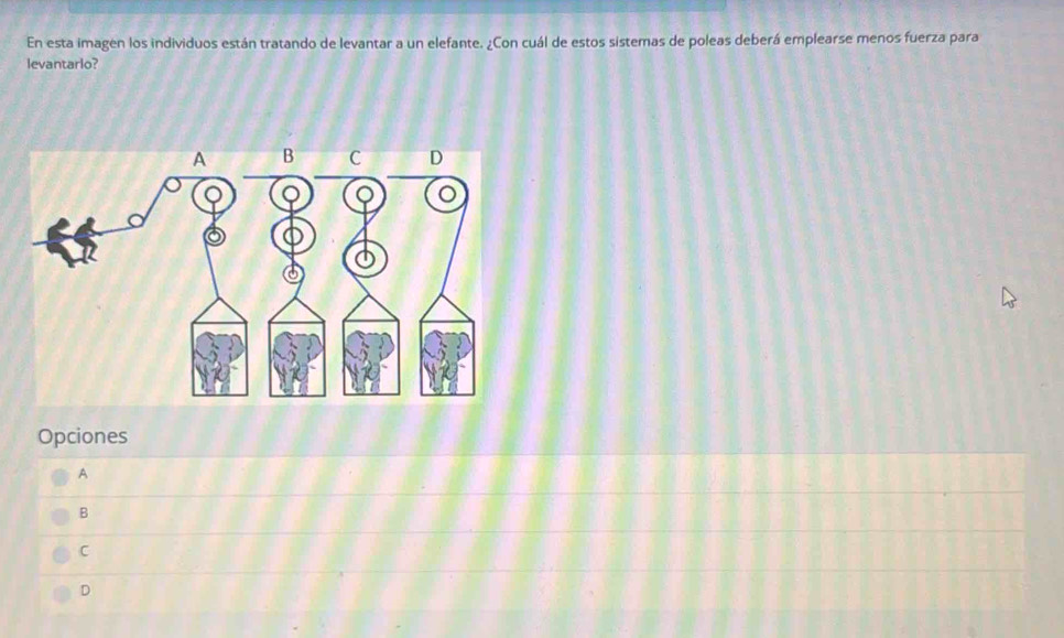 En esta imagen los individuos están tratando de levantar a un elefante. ¿Con cuál de estos sistemas de poleas deberá emplearse menos fuerza para
levantarlo?
Opciones
A
B
C
D
