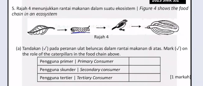 2025 SMIR 3J2 
5. Rajah 4 menunjukkan rantai makanan dalam suatu ekosistem | Figure 4 shows the food 
chain in an ecosystem 
Hasceçço 
Rajah 4 
(a) Tandakan (√) pada peranan ulat beluncas dalam rantai makanan di atas. Mark (√) on 
the role of the caterpillars in the food chain above. 
1 markah]