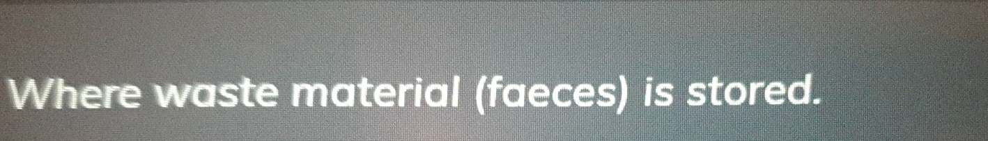 Where waste material (faeces) is stored.