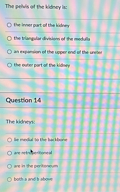 The pelvis of the kidney is: 
Q 
T