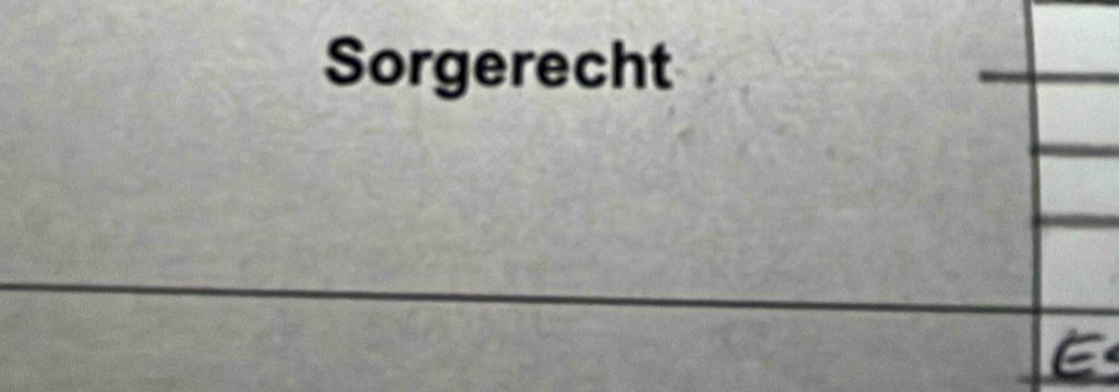 Sorgerecht