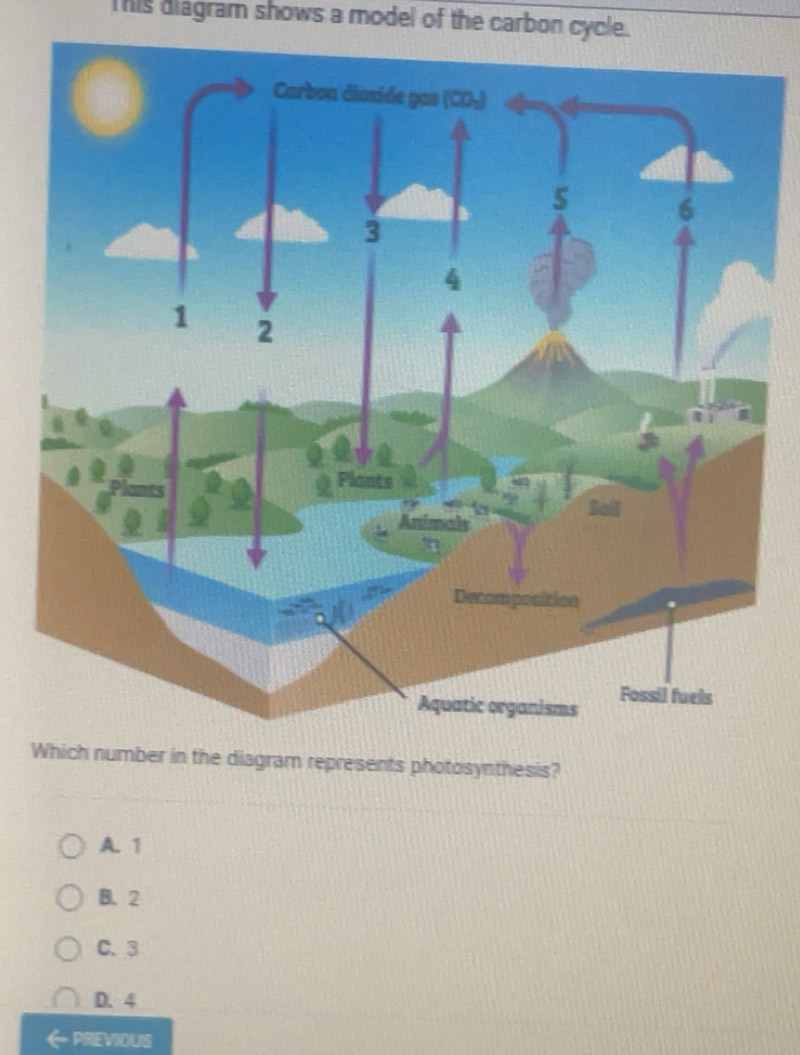 Solved: This diagram shows a model of the carbon cycle. W in the ...