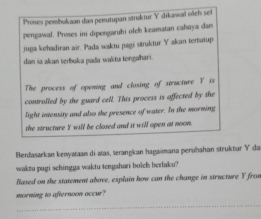 Proses pembukaan dan penutupan struktur Y dikawal oleh sel 
pengawal. Proses ini dipengaruhi oleh keamatan cahaya dan 
juga kehadiran air. Pada waktu pagi struktur Y akan tertutup 
dan ia akan terbuka pada waktu tengahari. 
The process of opening and closing of structure Y is 
controlled by the guard cell. This process is affected by the 
light intensity and also the presence of water. In the morning 
the structure Y will be closed and it will open at noon. 
Berdasarkan kenyataan di atas, terangkan bagaimana perubahan struktur Y da 
waktu pagi schingga waktu tengahari bolch berlaku? 
Based on the statement above, explain how can the change in structure Y fron 
morning to afternoon occur?