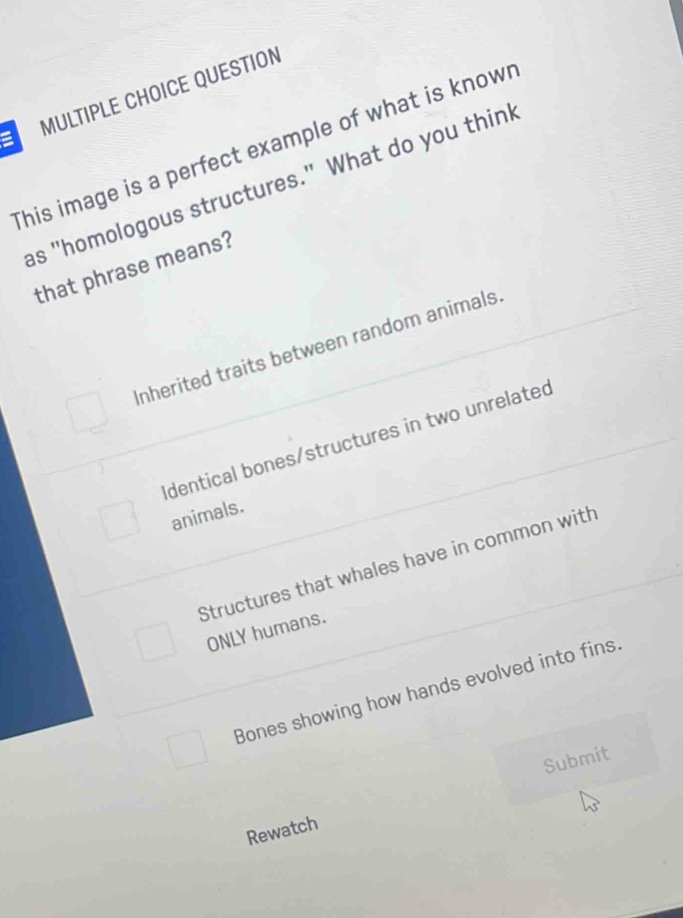 QUESTION
This image is a perfect example of what is knowr
as "homologous structures." What do you thinl
that phrase means?
Inherited traits between random animals
Identical bones/structures in two unrelated
animals.
Structures that whales have in common with
ONLY humans.
Bones showing how hands evolved into fins
Submit
Rewatch