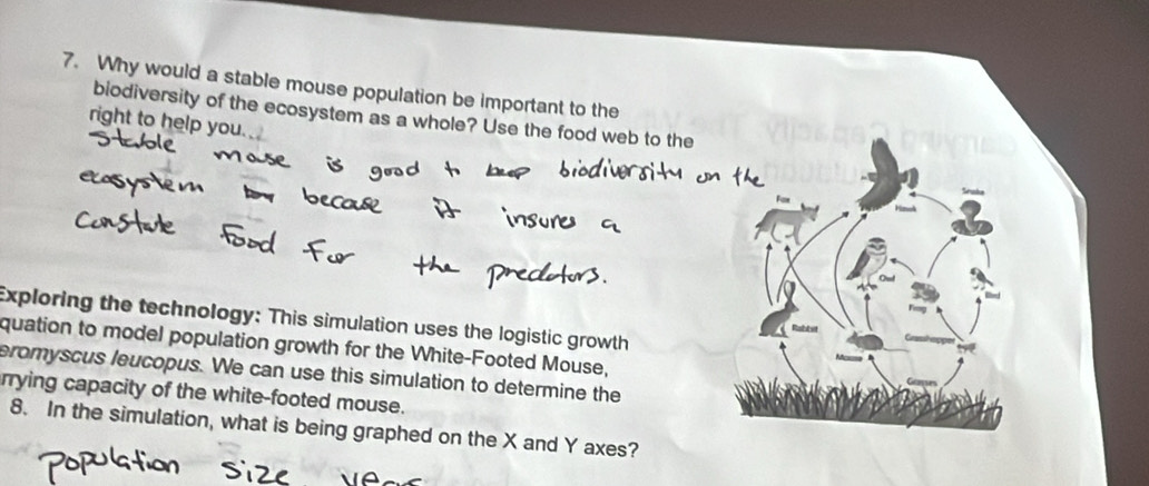 Why would a stable mouse population be important to the 
biodiversity of the ecosystem as a whole? Use the food web to the 
right to help you. 
Exploring the technology: This simulation uses the logistic growth 
quation to model population growth for the White-Footed Mouse, 
eromyscus leucopus. We can use this simulation to determine the 
rrying capacity of the white-footed mouse. 
8. In the simulation, what is being graphed on the X and Y axes?