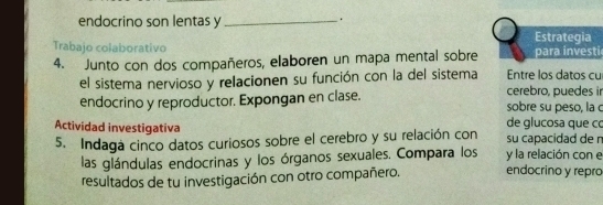 endocrino son lentas y _. 
Estrategia 
Trabajo colaborativo 
4. Junto con dos compañeros, elaboren un mapa mental sobre para investi 
el sistema nervioso y relacionen su función con la del sistema Entre los datos cu 
cerebro, puedes ir 
endocrino y reproductor. Expongan en clase. sobre su peso, la 
Actividad investigativa de glucosa que c 
5. Indaga cinco datos curiosos sobre el cerebro y su relación con su capacidad de r 
las glándulas endocrinas y los órganos sexuales. Compara los y la relación con e 
resultados de tu investigación con otro compañero. endocrino y repro