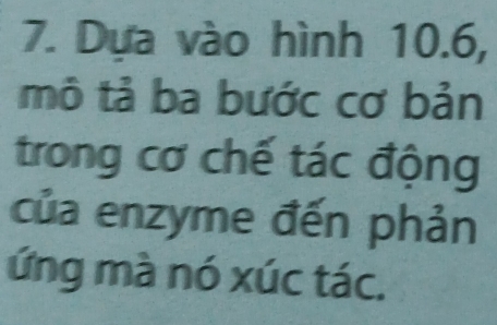 Dựa vào hình 10.6, 
mô tả ba bước cơ bản 
trong cơ chế tác động 
của enzyme đến phản 
ứng mà nó xúc tác.