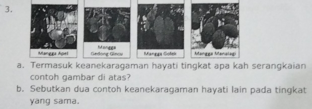 erangkaian 
contoh gambar di atas? 
b. Sebutkan dua contoh keanekaragaman hayati lain pada tingkat 
yang sama.